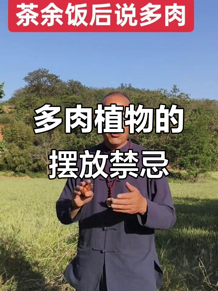 多肉植物的风水隐患,放错位置可能有害健康
