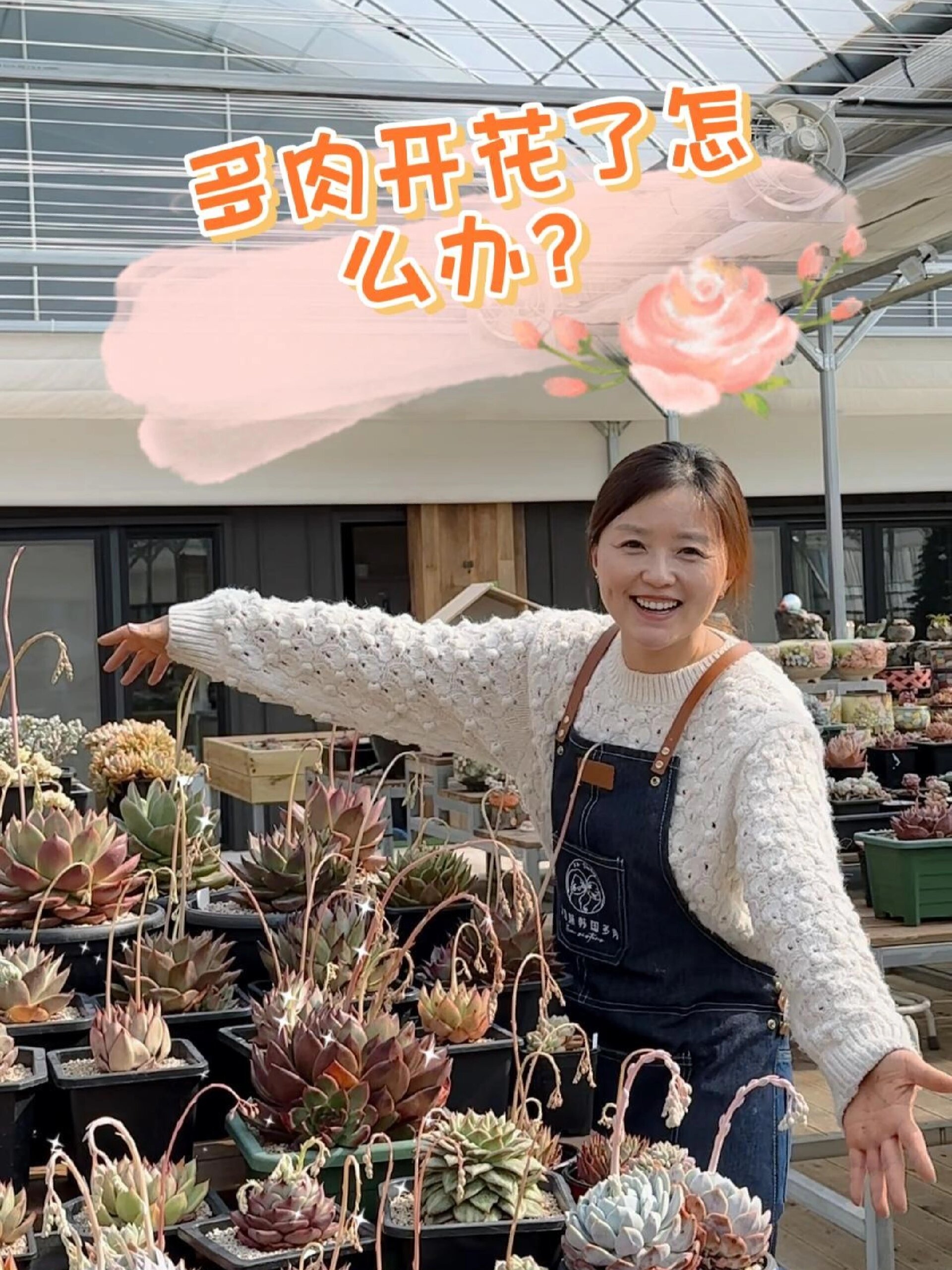 多肉开花了怎么办?