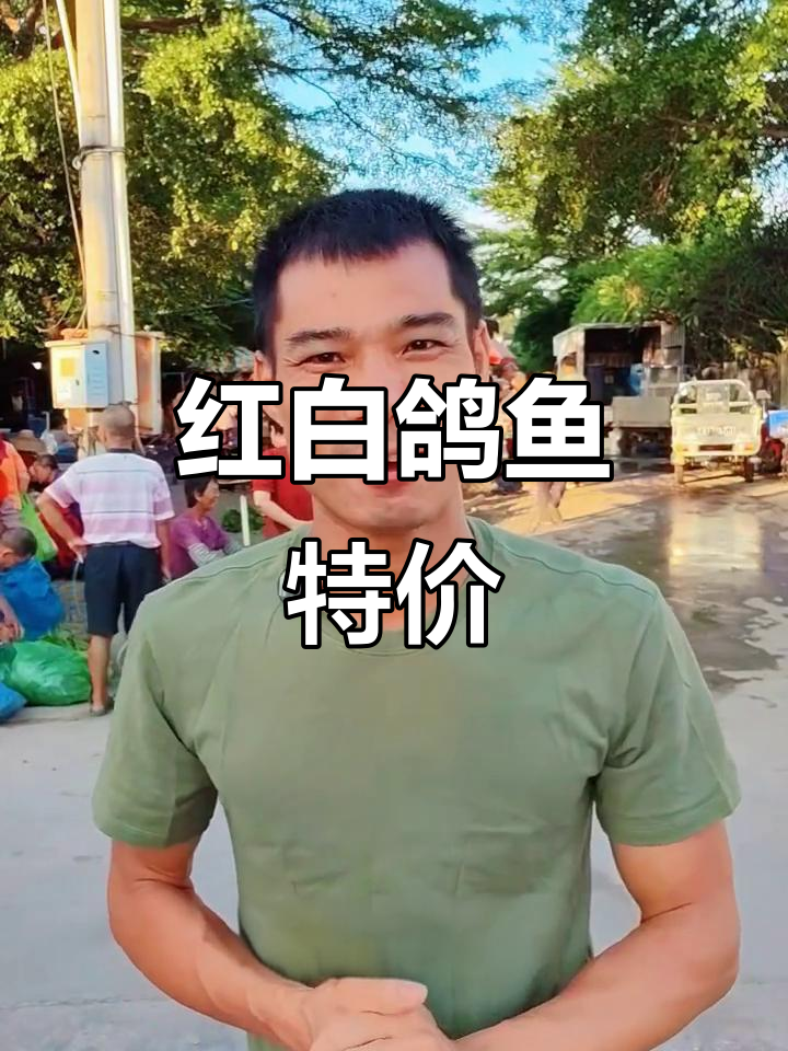 菜市场惊现红白鸽鱼,价格亲民,比其他海鲜更实惠!
