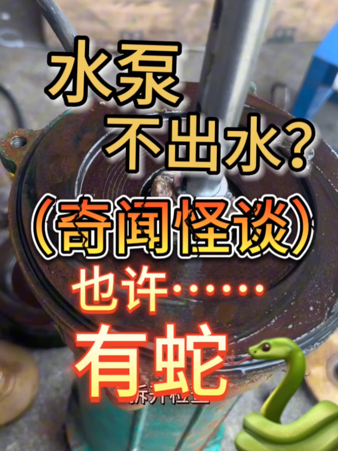 水泵正常运转不出水原因