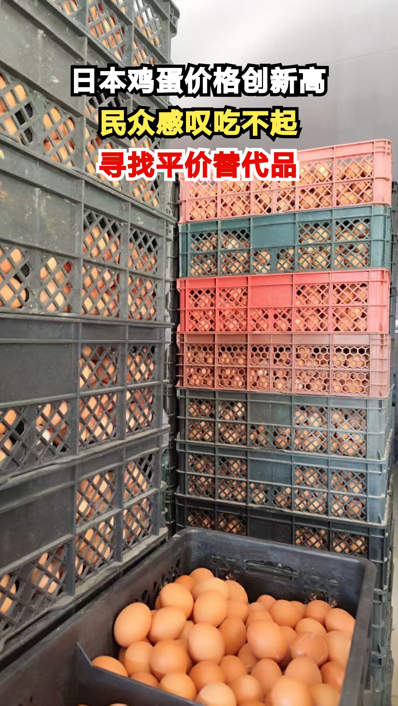 东京鸡蛋批发价每公斤324日元,日本民众直呼吃不起鸡蛋拌饭