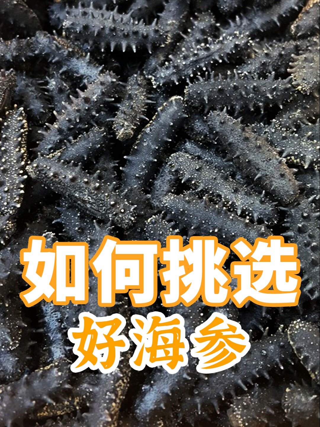 如何挑选干参,怎么选择质量好的海参?避坑