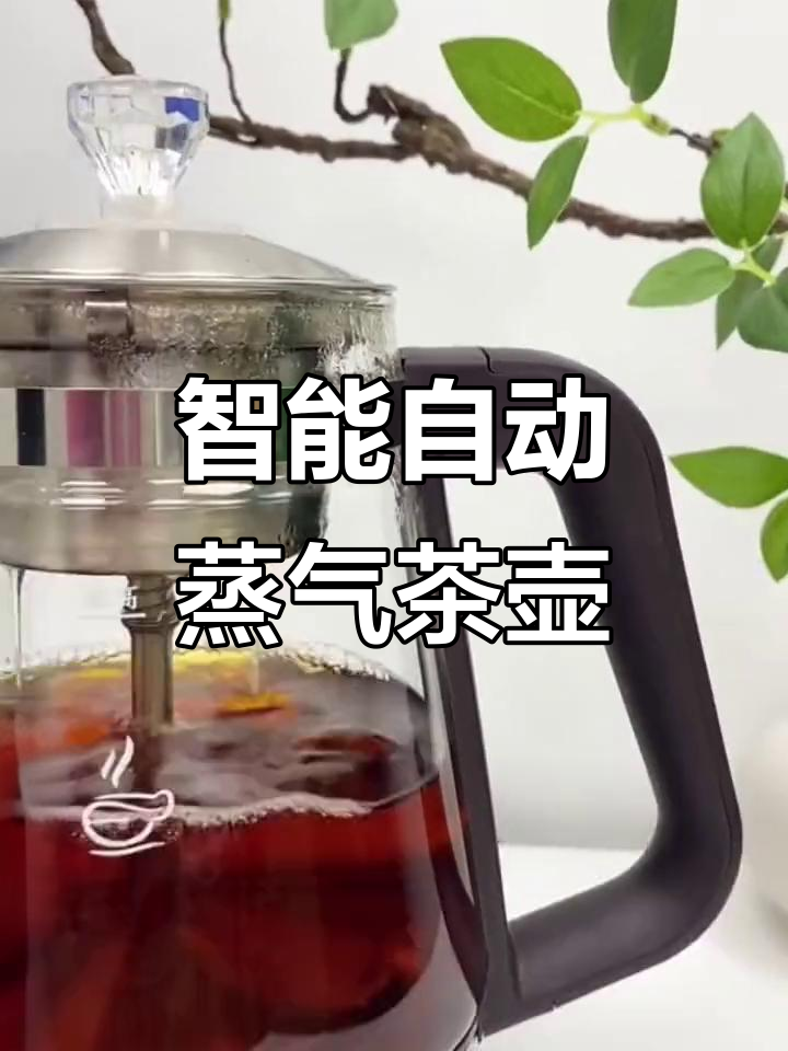 容声全自动蒸汽煮茶壶,智能保温电热烧水玻璃养生壶