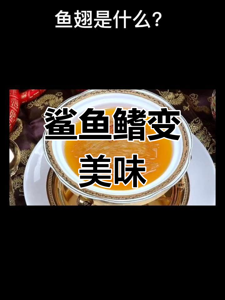 鱼翅的来源与制作过程