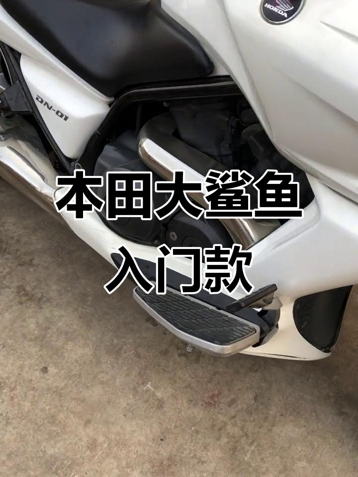 本田大鲨鱼:低坐姿设计,轻松驾驭的巡航小排量