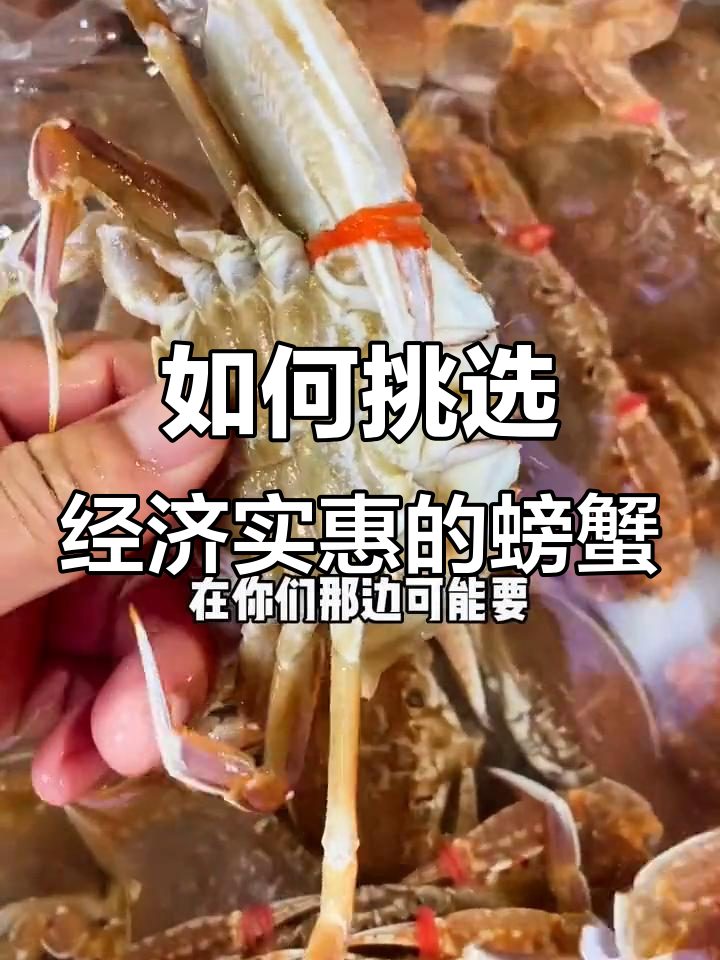 教你挑选实惠又好吃的螃蟹,红膏蟹、黑蟹全都有