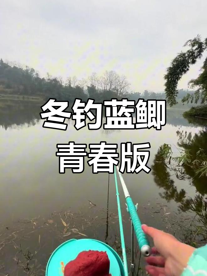 冬季竹林钓鱼,轻松上鱼