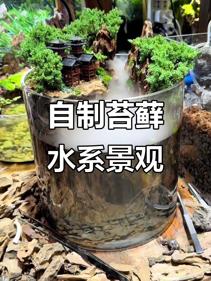 手工打造鱼缸里的自然山水景观，微缩世界尽显魅力