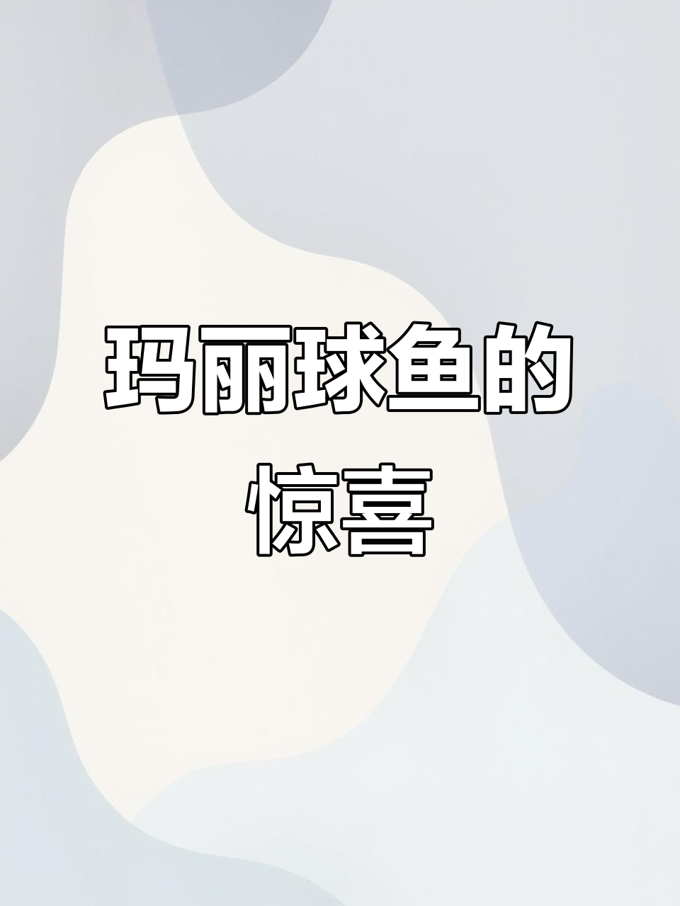 刚买回的玛丽球鱼,第二天就产卵了,幸免于难!