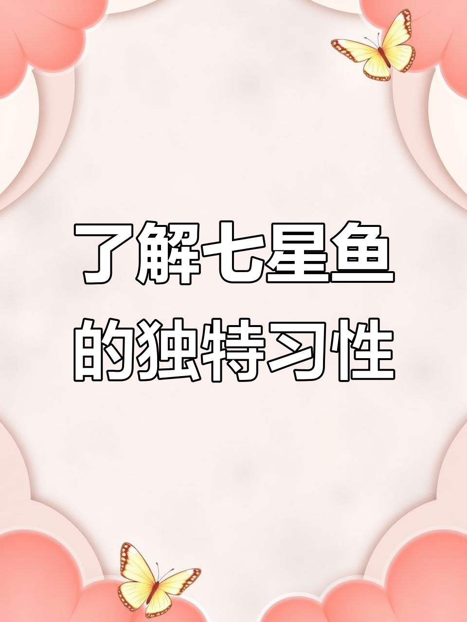 七星鱼揭秘:它不吸血,但能吸石头!