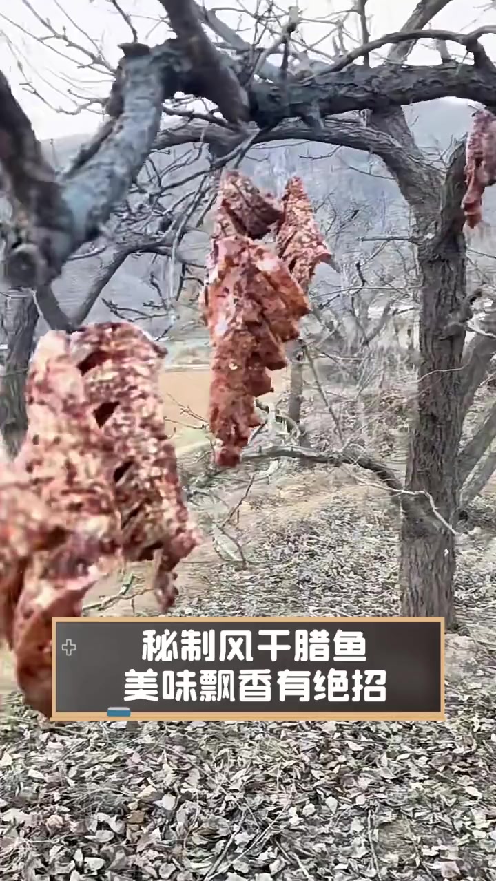 秘制风干腊鱼,美味飘香有绝招