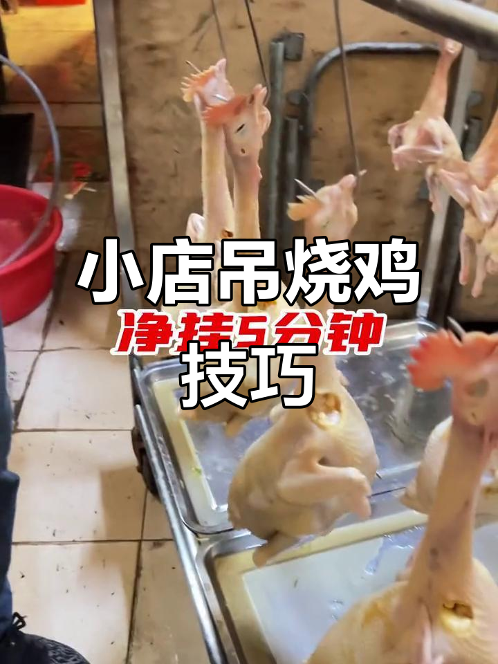 餐饮小店吊烧鸡操作大揭秘,轻松掌握美味秘诀