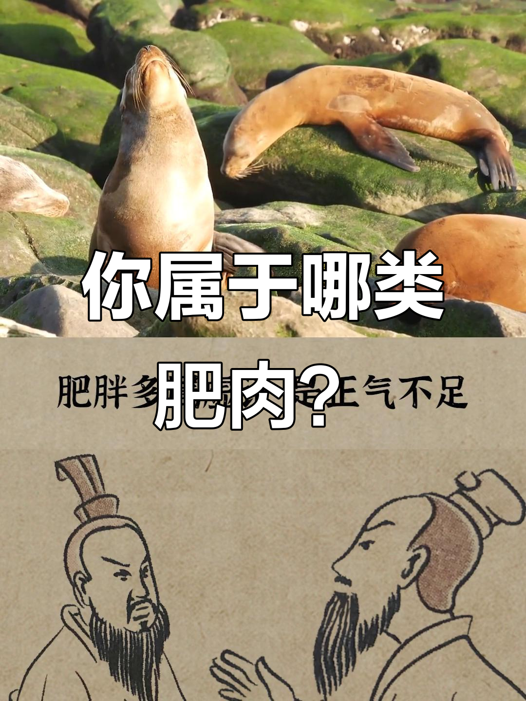 肥胖类型大揭秘：你是哪种“脂人”？