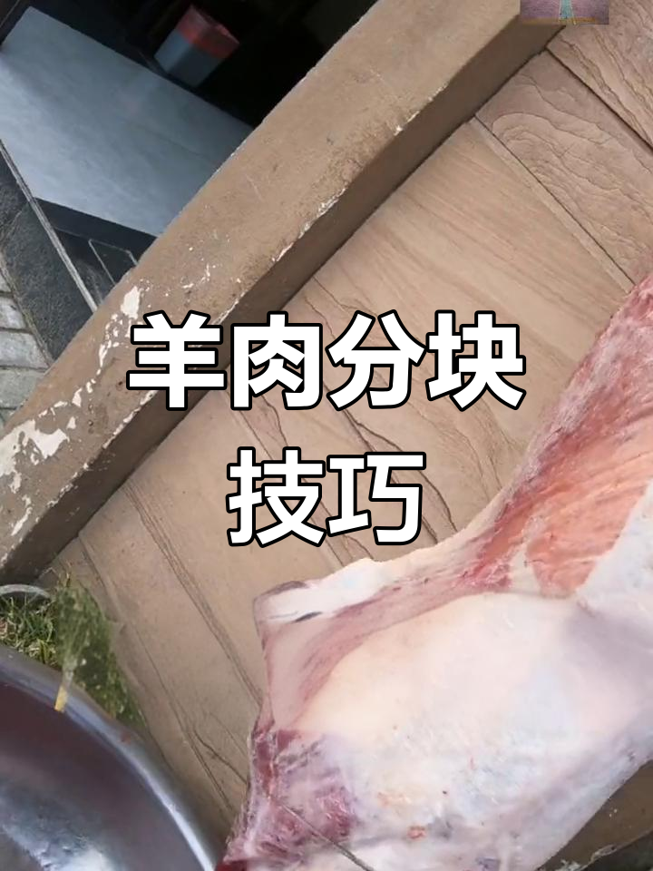 羊分割全流程揭秘