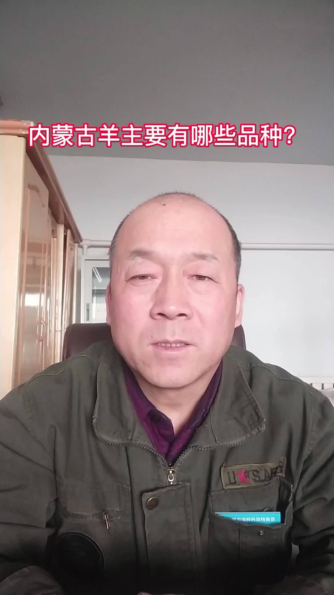 内蒙古羊品种分布 支持三农扶持三农发展 新农人计划2023 内蒙古牛羊肉 内蒙古美食推荐