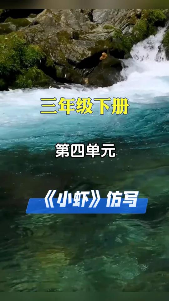 三年级下册第四单元《小虾》课后仿写小练笔