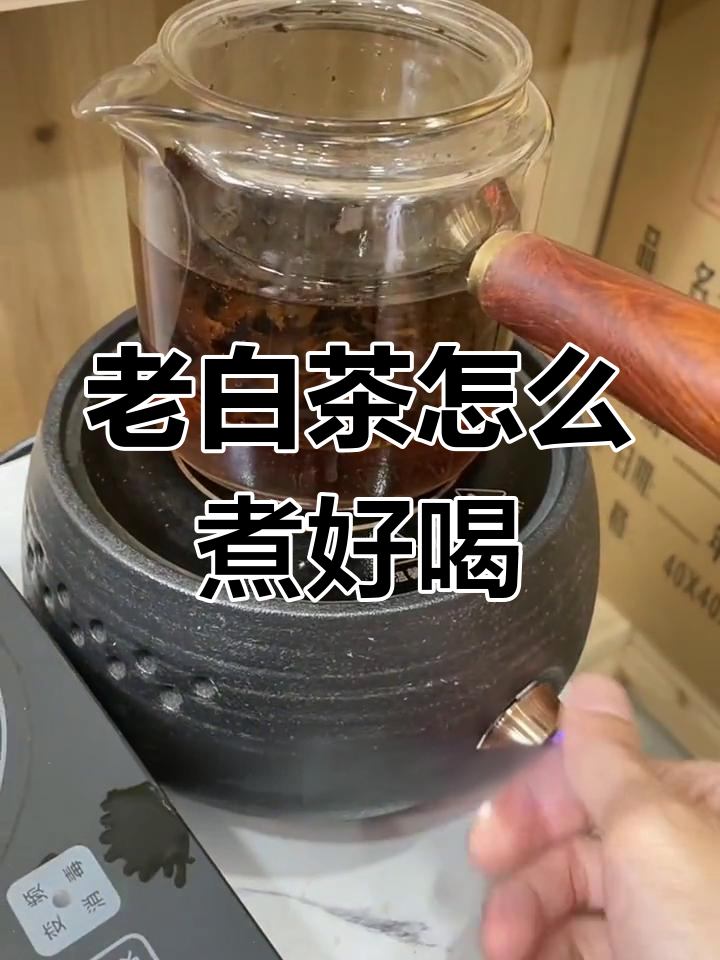 如何煮老白茶才更好喝?掌握这些技巧,茶汤更顺滑