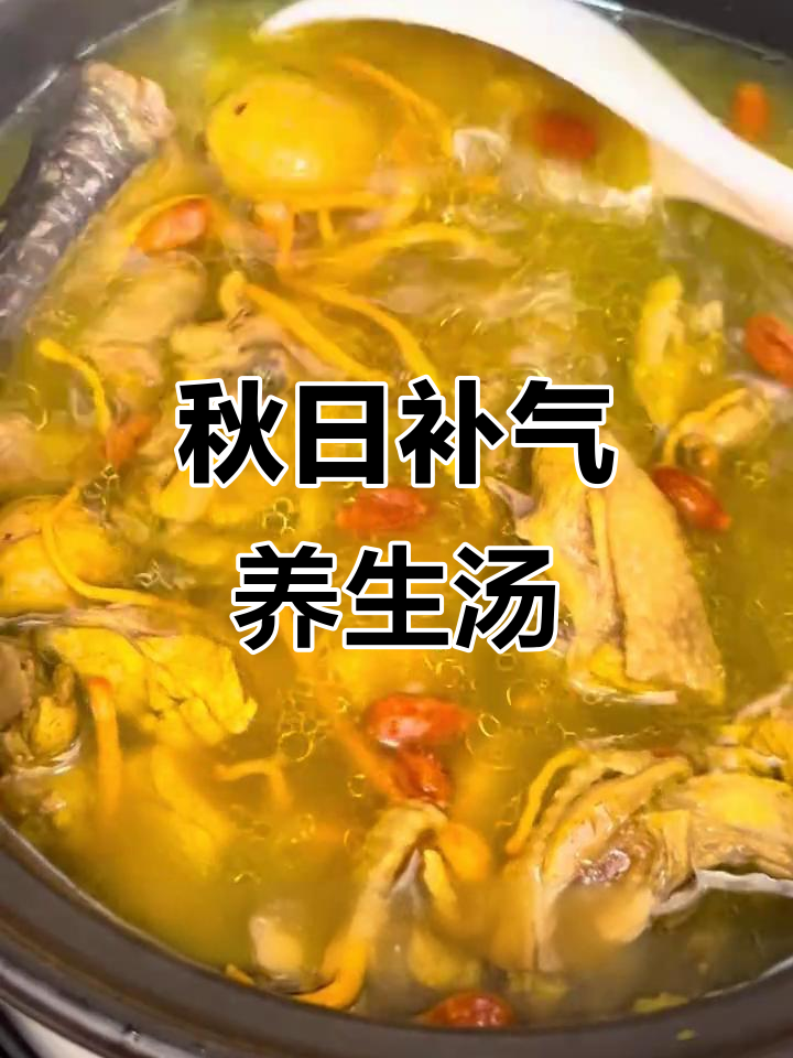 秋季滋补汤,虫草花板栗鸡汤鲜美又养颜