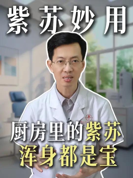 做菜用的紫苏,浑身都是宝,知道用法能省下不少买药钱