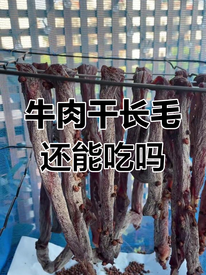 牛肉干发霉了?这些白点到底是啥