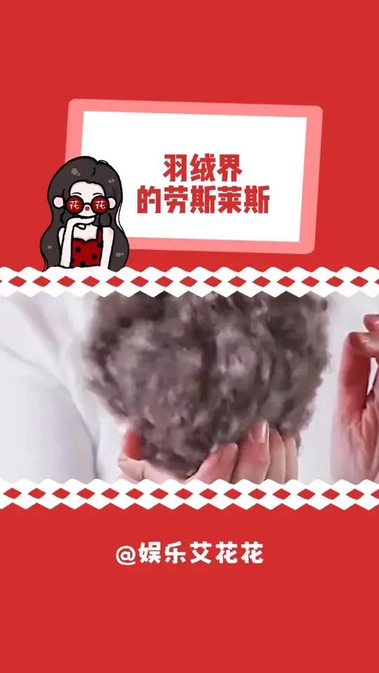 雁鸭：你们就这么对我这羽绒界的拉斯莱斯吗？