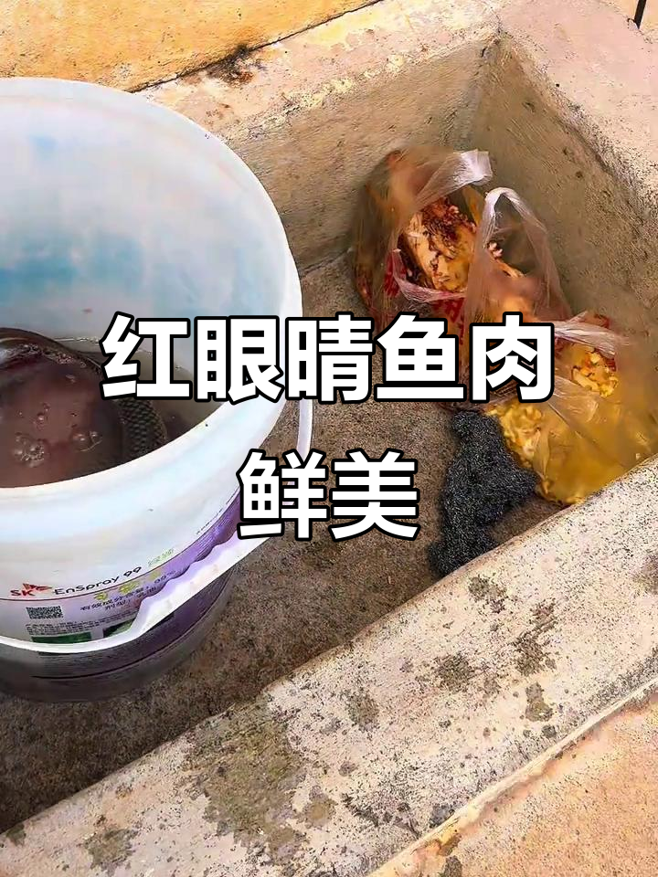 赤眼鳟鱼:鲜嫩美味,肉质紧实