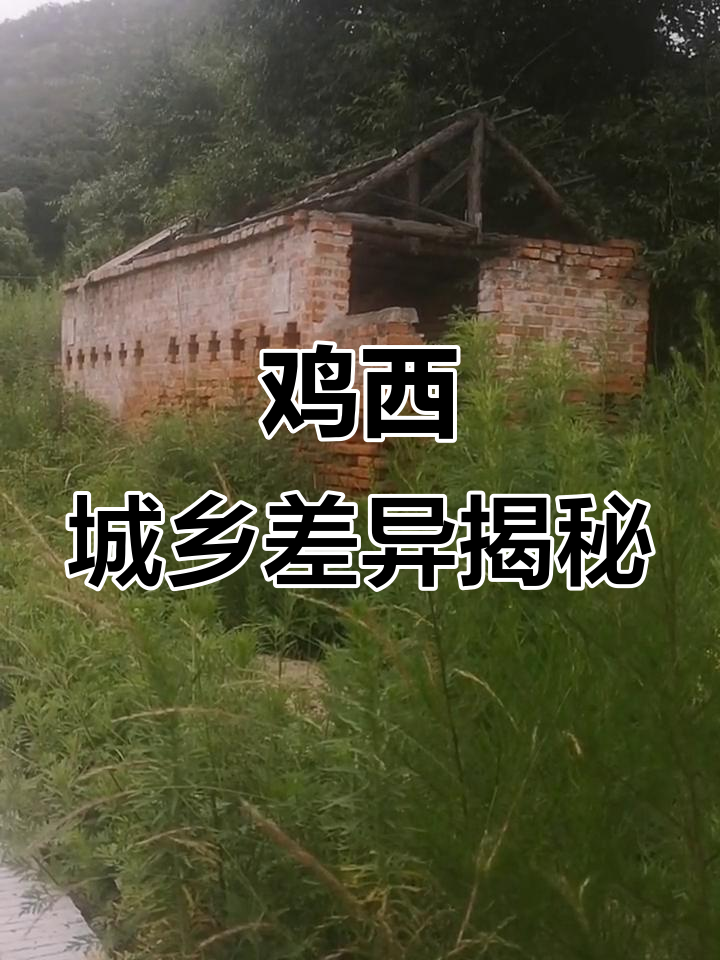 鸡西市城市与农村差距大,厕所和垃圾站点让人震惊