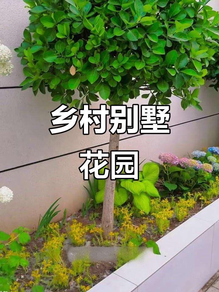 36万打造乡村别墅,小花园绿植一网打尽!