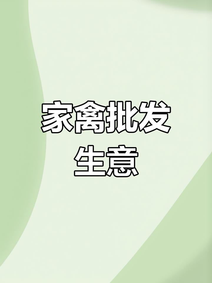 南宁家禽批发,保证质量,送货上门并提供技术指导