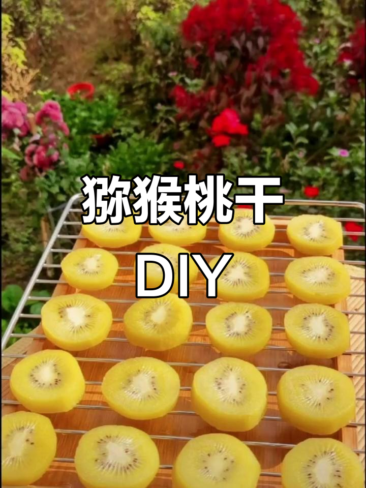 猕猴桃干轻松做,更多美味等你探索!