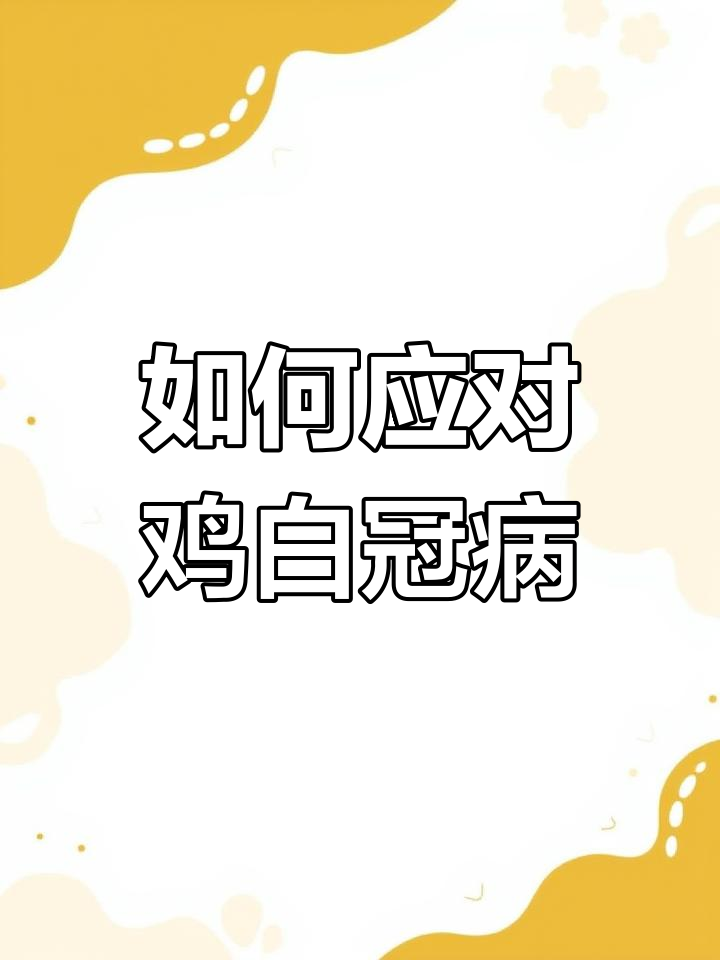 鸡白冠病防治全攻略:从饲料到环境管理