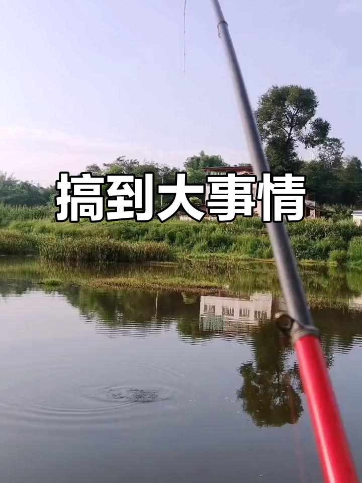 钓到草鱼了,竟然这么轻松!