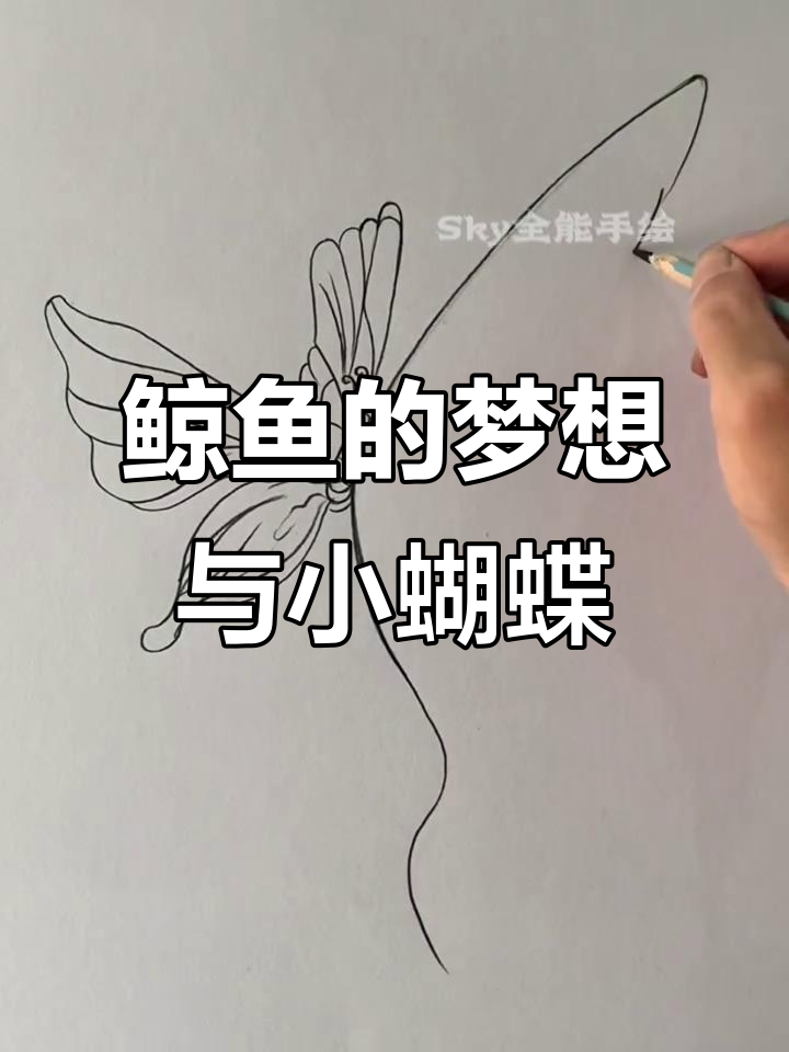 小蝴蝶,对不起!鲸鱼哥哥的梦想,我会继续努力