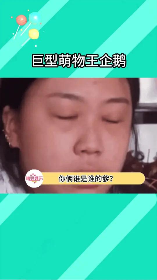 王企鹅:谁还没丑过呢