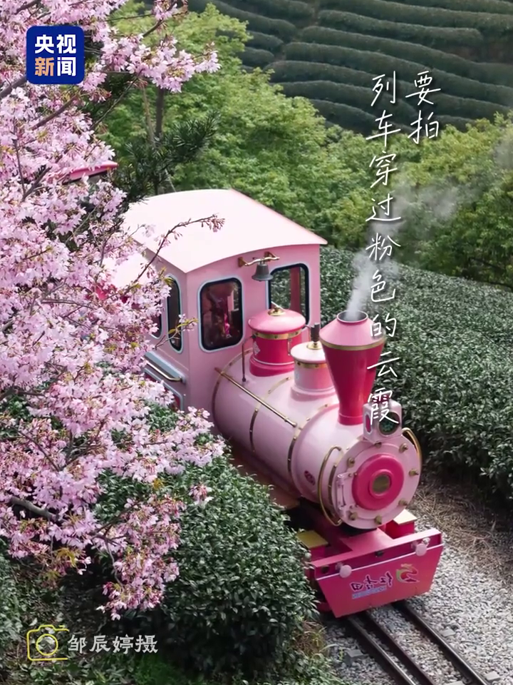 花花到底怎么拍才好看?摄影师教你8个拍花小技巧,赶紧收藏