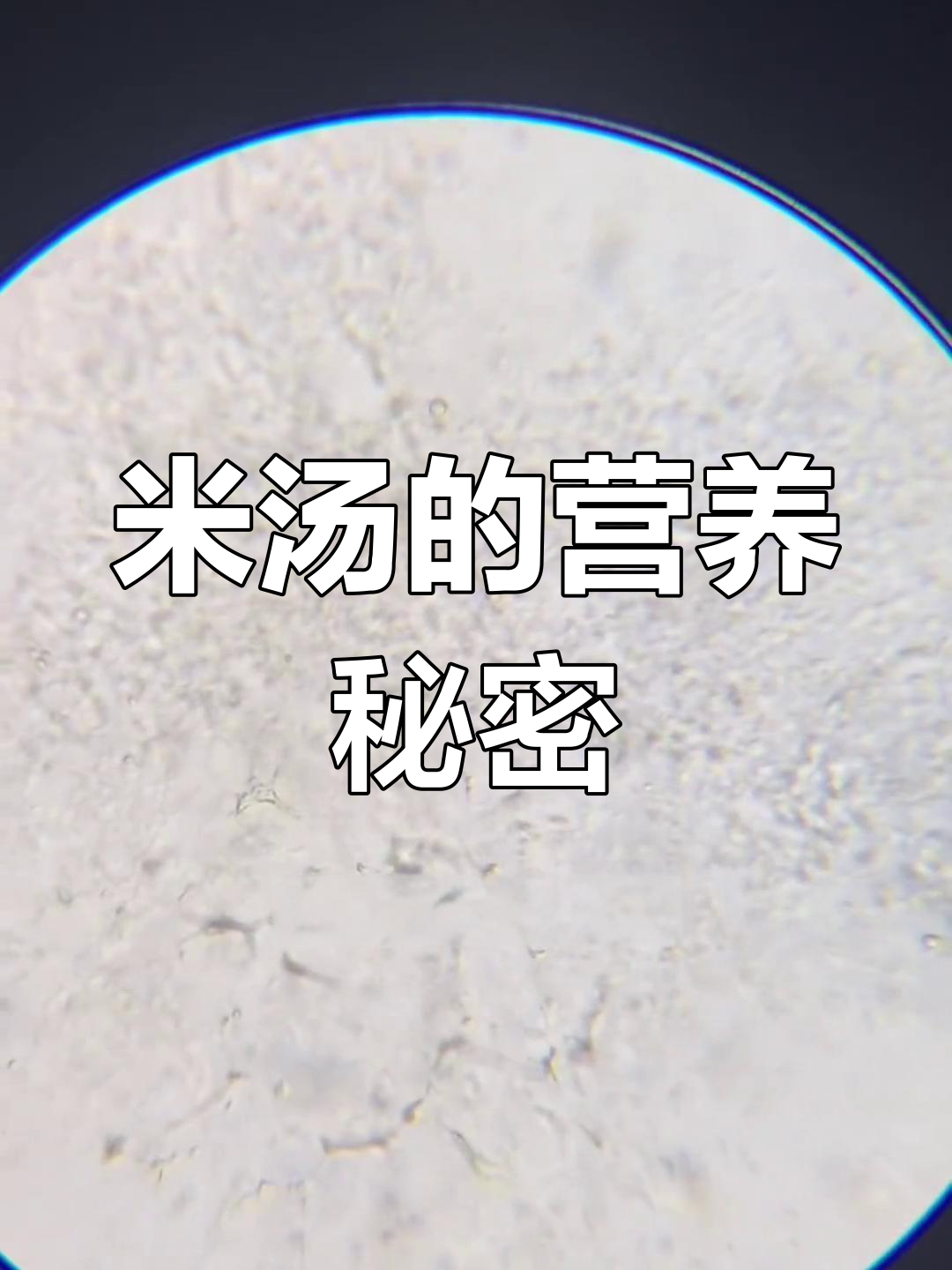 米汤放大500倍,真相揭秘