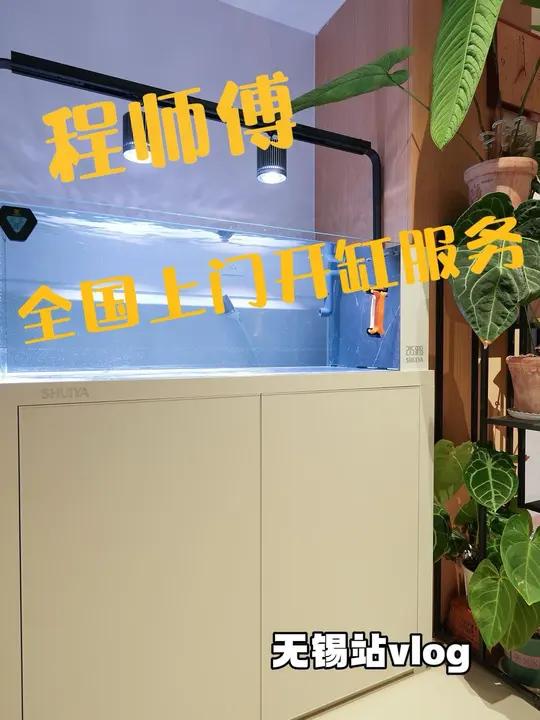 「最美鱼友家」程师傅全国上门开缸服务|无锡站!养鱼日记 水鸦鱼缸 水鸦金鱼缸 上门开缸 金