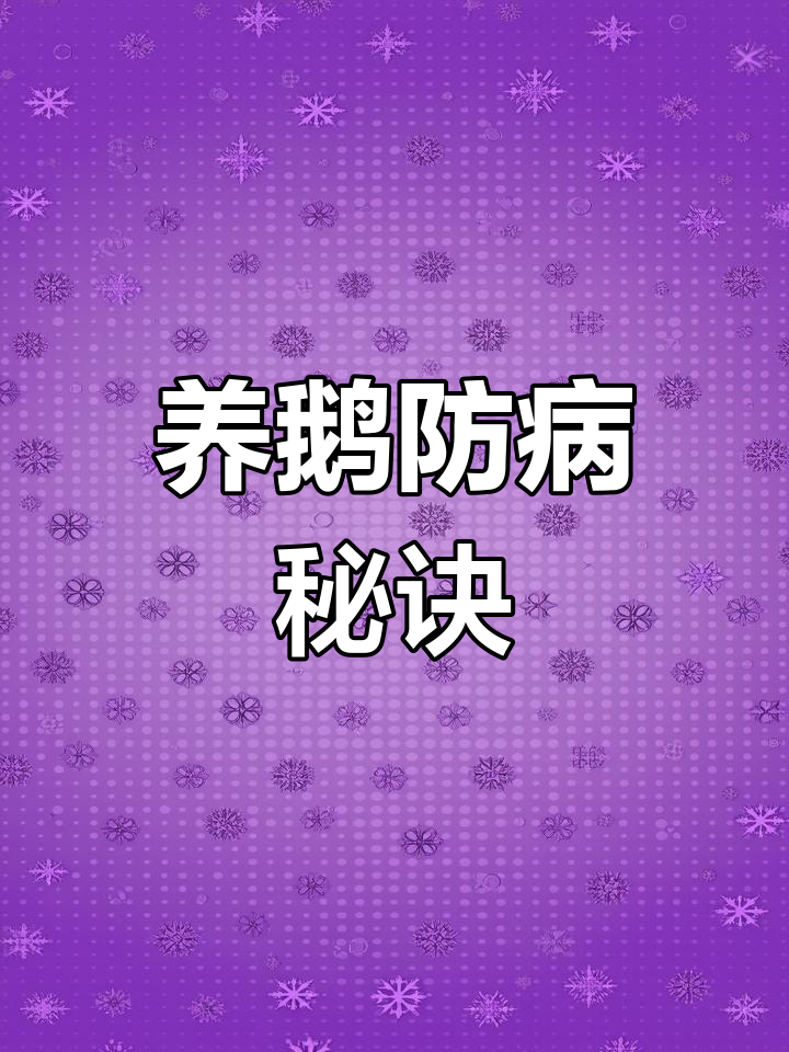 冬季养鹅,流感预防有妙招,轻松提升成活率!