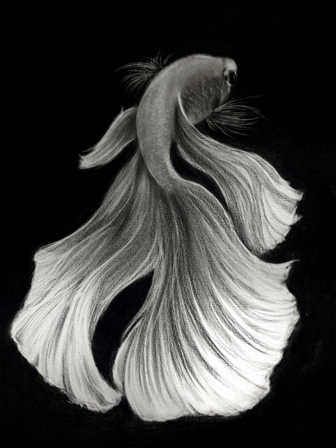 超级简单好看的金鱼画法!