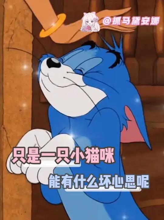 汤姆当然是主人最爱的小猫咪 #猫和老鼠 #汤姆 #动画 #可爱 #汤姆猫