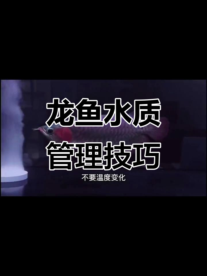龙鱼长时间不换水,注意这五个关键点