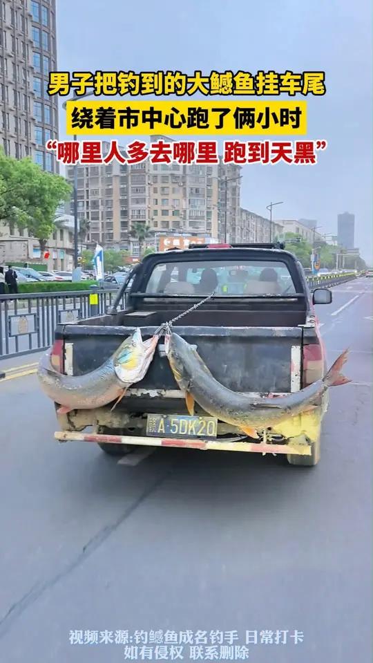 男子和同伴钓2条大鳡鱼近百斤,挂车尾到市区炫耀2小时,当事人:开着车专门往人多的地方去