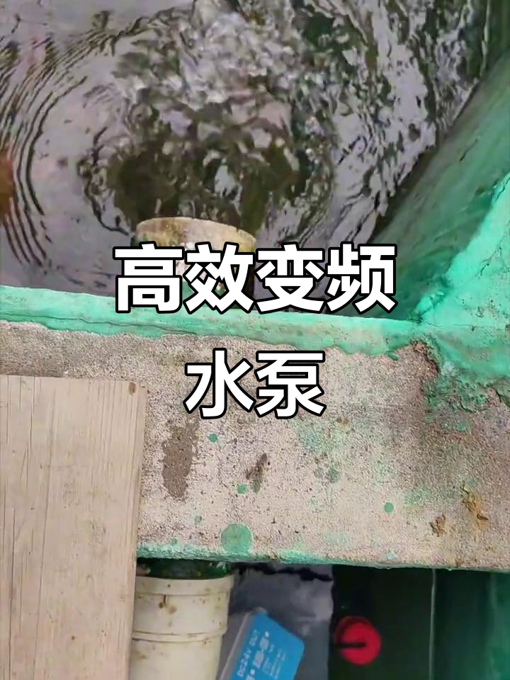 湧之力鱼池变频水泵,高效节能更稳定