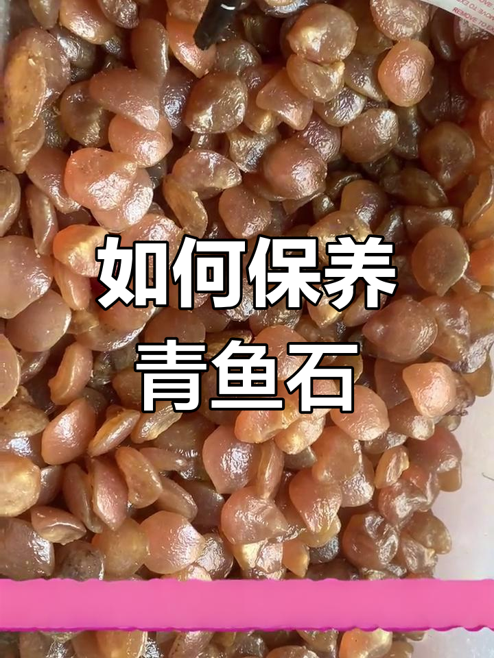 青鱼石保存技巧大公开,教你如何正确养护