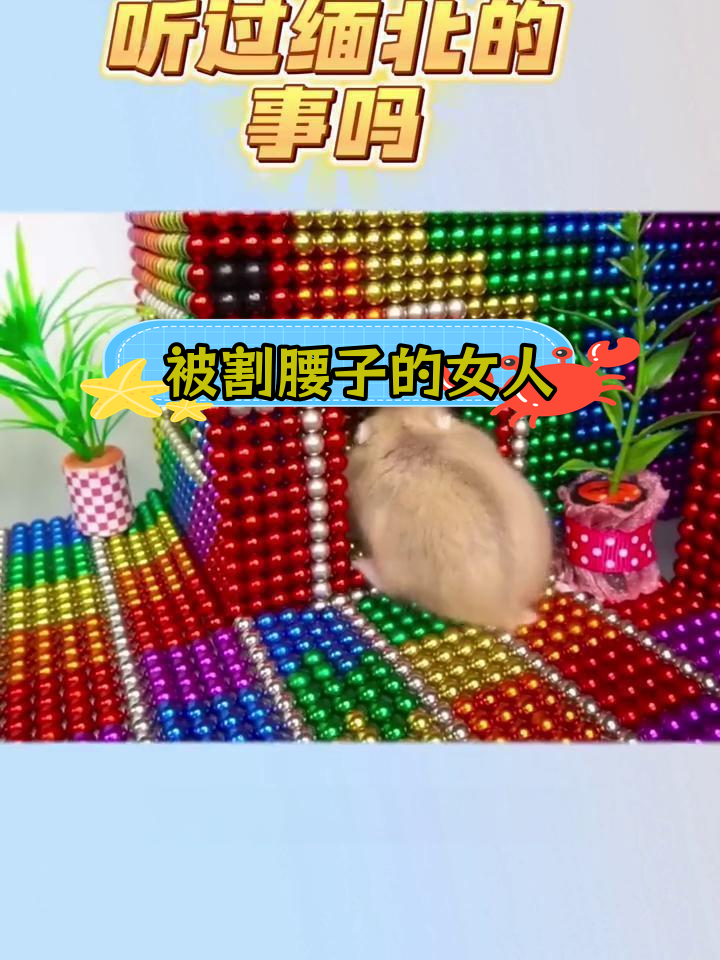 缅北的活体肉莲:恐怖工厂揭秘