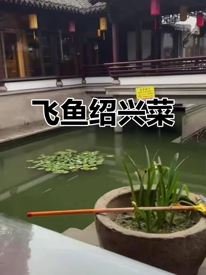 绍兴老味道,飞鱼菜等你来尝
