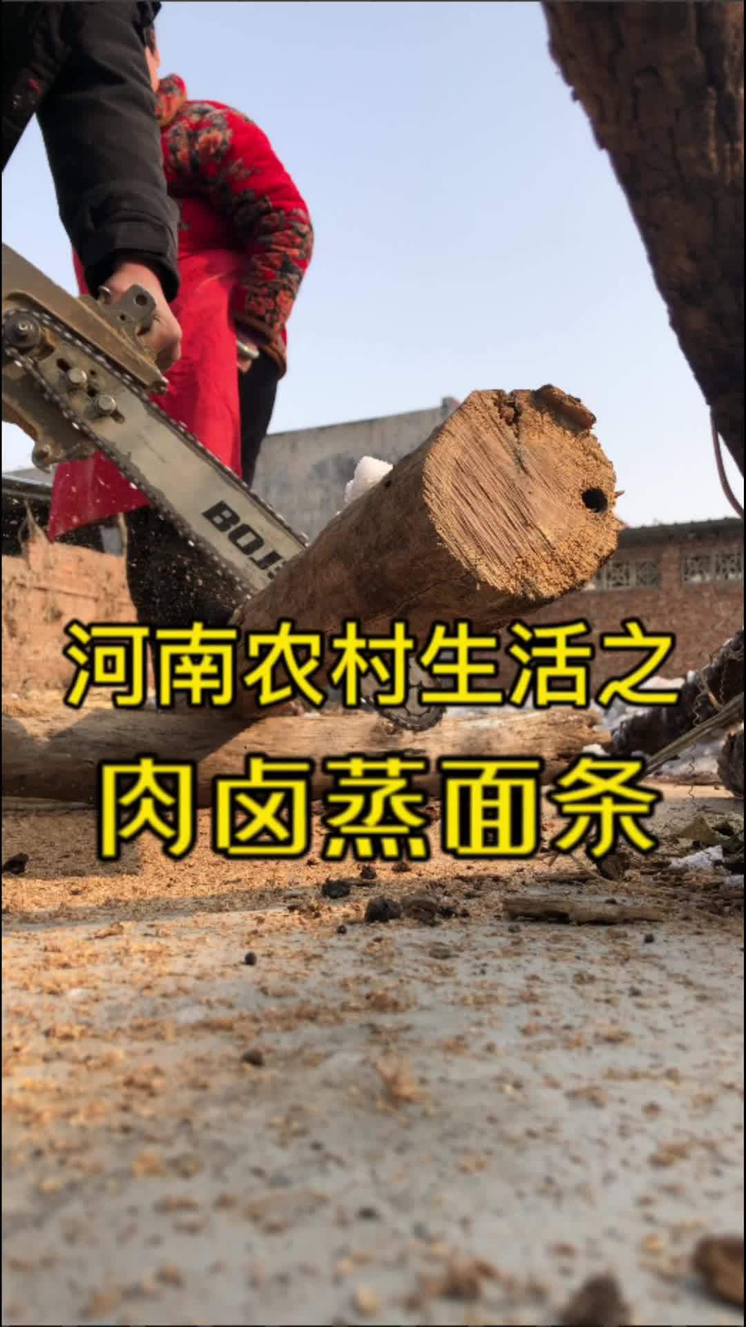 河南冬日的乡村生活就是每天都有活干,干完活就想着中午吃啥,今天中午咱吃肉卤蒸面条 我的乡村