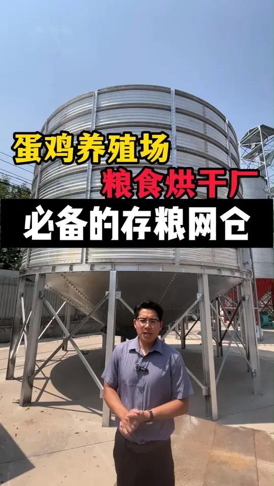 蛋鸡养殖场 粮食烘干厂 必备的存粮网仓