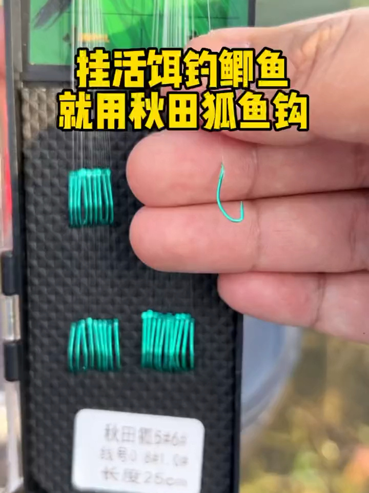 挂活饵钓鲫鱼就用秋田狐鱼钩