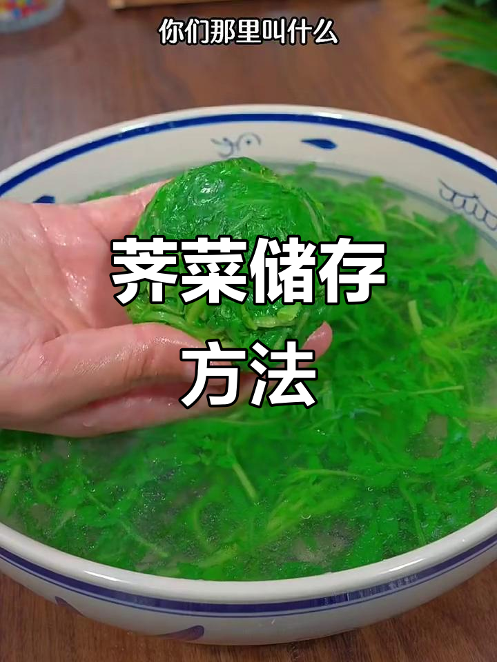 荠菜冷冻技巧大揭秘,教你如何保存翠绿口感